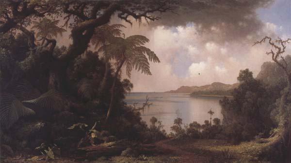 Martin Johnson Heade Vew from Fern-Tree Walk,Jamaica oil painting picture